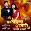 About Ladli Hai Tu Sabki Song